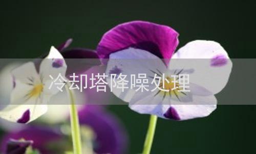 冷卻塔降噪處理-【宏潤聲學】